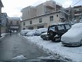 Neve (14)